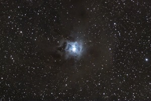 Der Irisnebel (NGC 7023)Im Sternbild Kepheus am nördlichen Himmel finden wir den Irisnebel. Es handelt sich um eine Staubwolke in 1800 Lichtjahren Entfernung, welche das Licht von einem nahen Stern reflektiert. Aktuell entstehen keine Sterne in der Wolke.Spiegelteleskop (11“/280 mm, f/2,2, Brennweite 620 mm) und Linsenteleskop (6“/150 mm, f/7,3, Brennweite 1105 mm), Farb-Astrokameras18 Aufnahmen mit 120, 150, 240 und 300 sec, Belichtungszeit: 1 Stunde17.06.2022, Mayhill, New Mexico, USA (ferngesteuert)