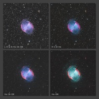 Der Hantelnebel (Messier 27)Der Hantelnebel, ein Planetarischer Nebel im Sternbild Fuchs dargestellt in vier Varianten mit verschiedenen Kombinationen der astronomischen Farbfilter. Im Licht der Schmalbandfilter treten die Sterne gegenüber dem Nebel zurück.Spiegelteleskop (17“/43 cm), monochrome Astro CCD KameraBrennweite 2937 mm – Öffnungsverhältnis f/6,8Gesamtbelichtungszeit: 3 Stunden 32 Minuten69 Aufnahmen à 120 und 240 sec in L/R/G/B/Halpha/OIII/SII25.08./04.-06.09.2023, Great Basin Desert, Utah, USA (ferngesteuert)